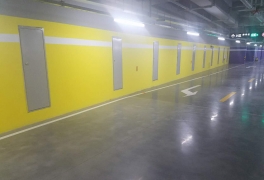 鋼質抖阴污版下载大全